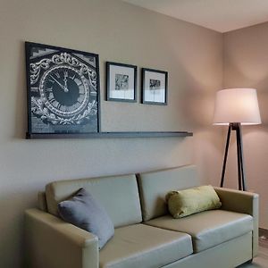 Studio King Suite Sofa Bed Non-Smoking
